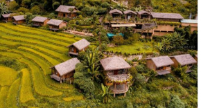 Eco Palms House - Sapa Retreat